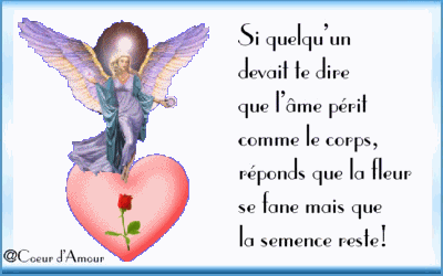 si quelqu'un...